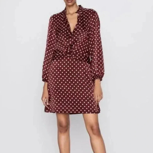Zara Brown Polkadot V Neck Dress - Picture 1 of 14